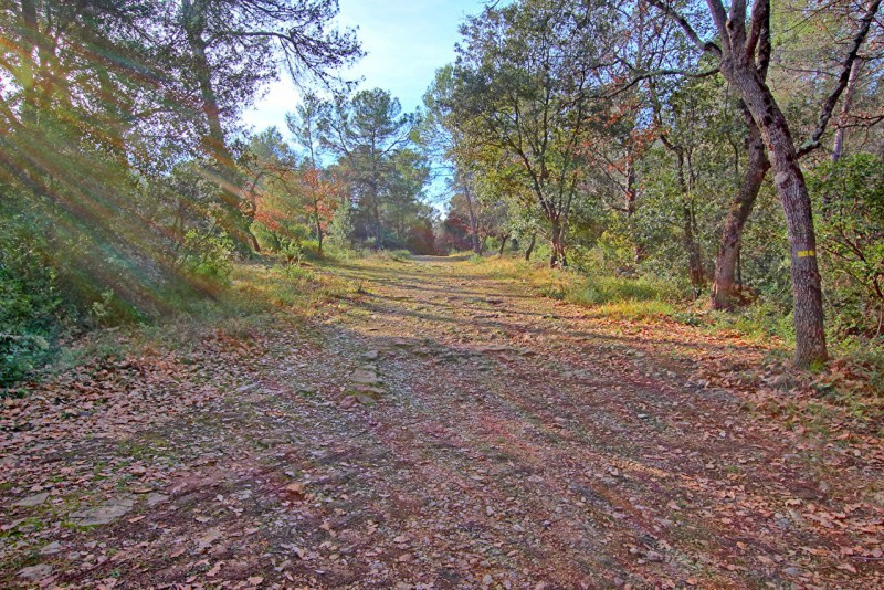 Offres de vente Terrain Valbonne (06560)